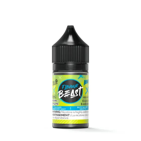 Blessed Blueberry Mint Iced - Flavour Beast Salt E-Liquid 30ml